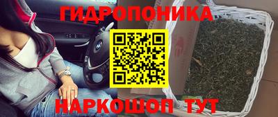 сатива Абакан