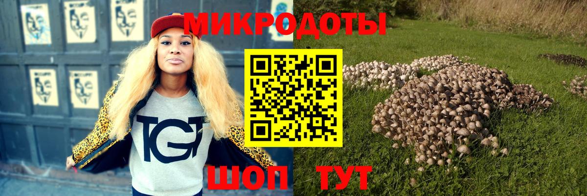 Алексеевка  Галлюциногенные грибы Magic Shrooms  Галлюциногенные грибы ЛСД  Вход с VPN 